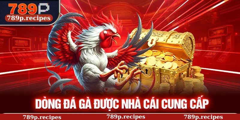 Dòng đá gà được nhà cái cung cấp
