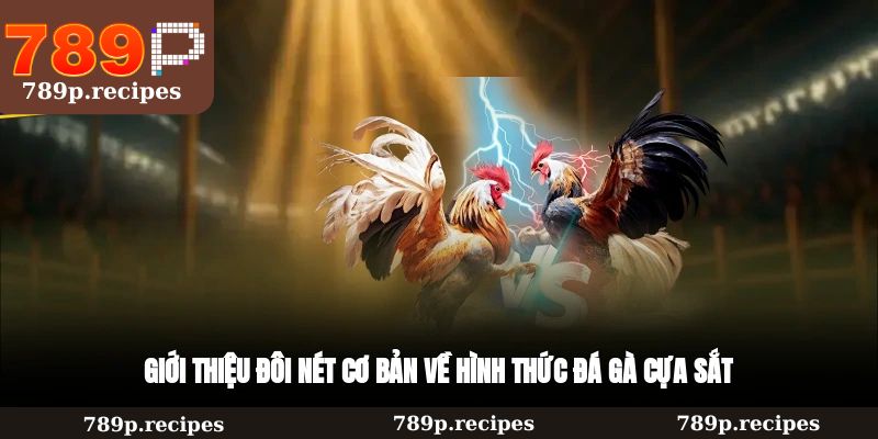Giới thiệu đôi nét cơ bản về hình thức đá gà cựa sắt