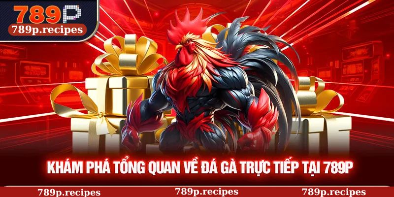 Khám phá tổng quan về đá gà trực tiếp tại 789P