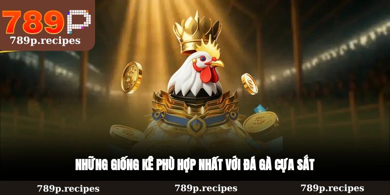 Những giống kê phù hợp nhất với đá gà cựa sắt